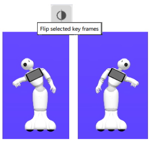 ../../_images/flip_command_sample.png